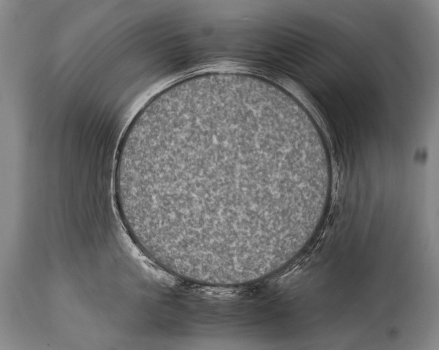 X0000114680861200911181229