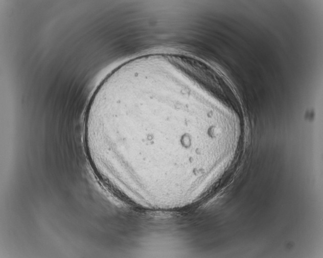 X0000114680862200911181229