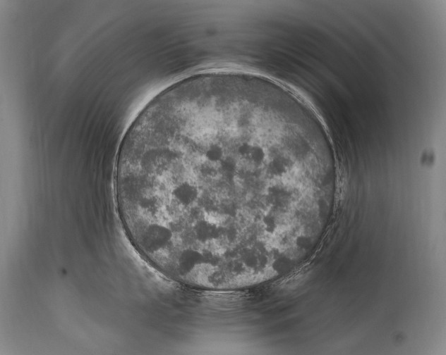 X0000114680863200911181229