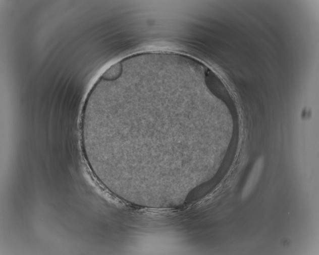 X0000114680864200911181229