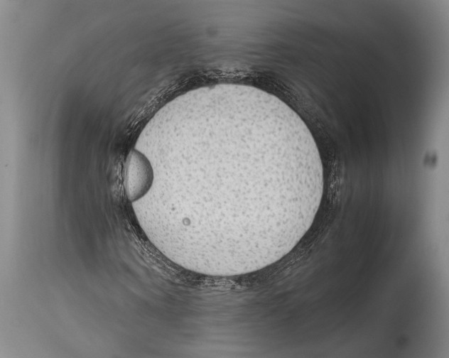 X0000114680866200911181228