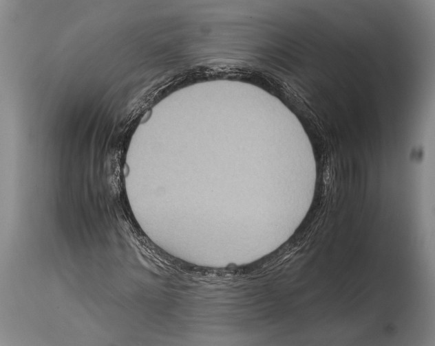X0000114680868200911181228