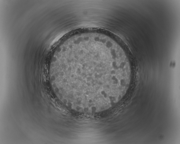 X0000114680871200911181228