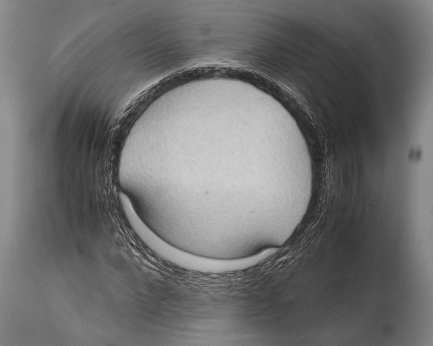 X0000114680872200911181228