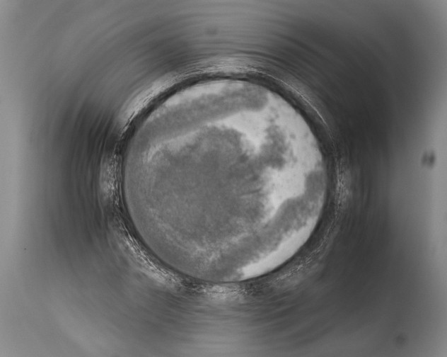 X0000114680874200911181228