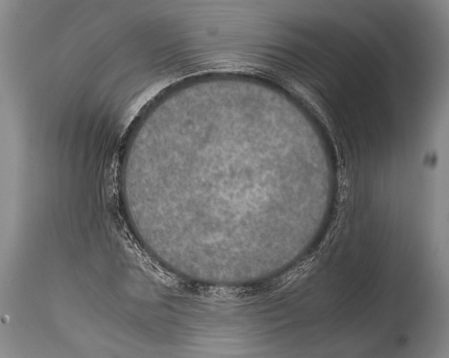 X0000114680875200911181228