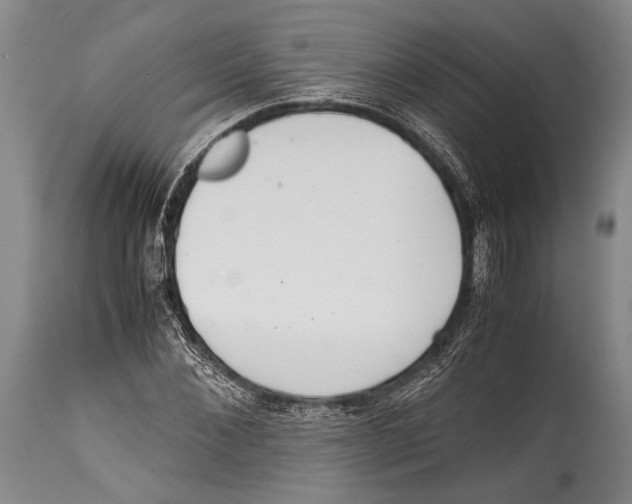 X0000114680876200911181228