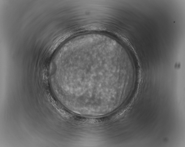 X0000114680881200911181228