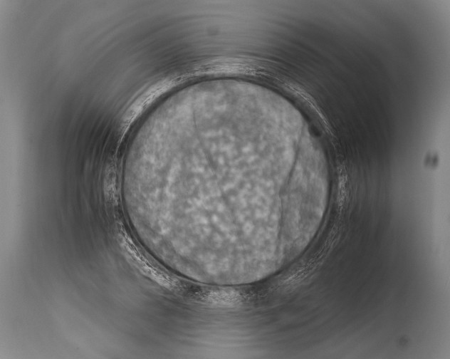 X0000114680882200911181228