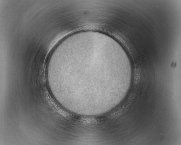 X0000114680886200911181228