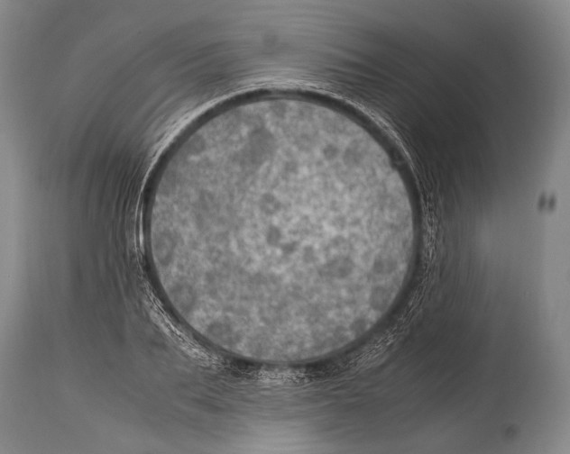 X0000114680887200911181228