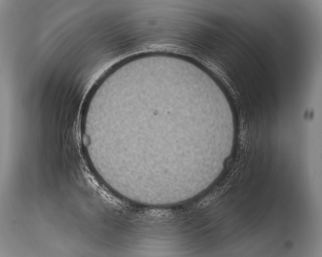 X0000114680888200911181228