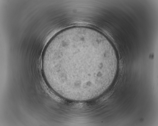 X0000114680891200911181228