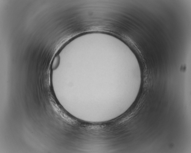 X0000114680892200911181228