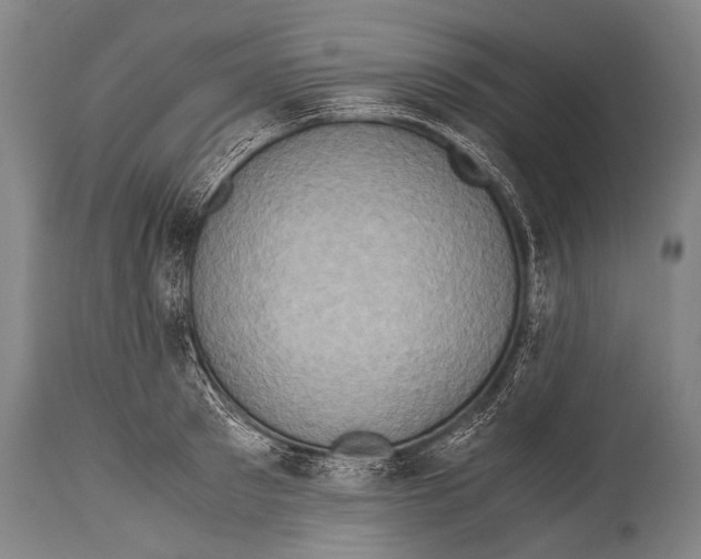 X0000114680897200911181228