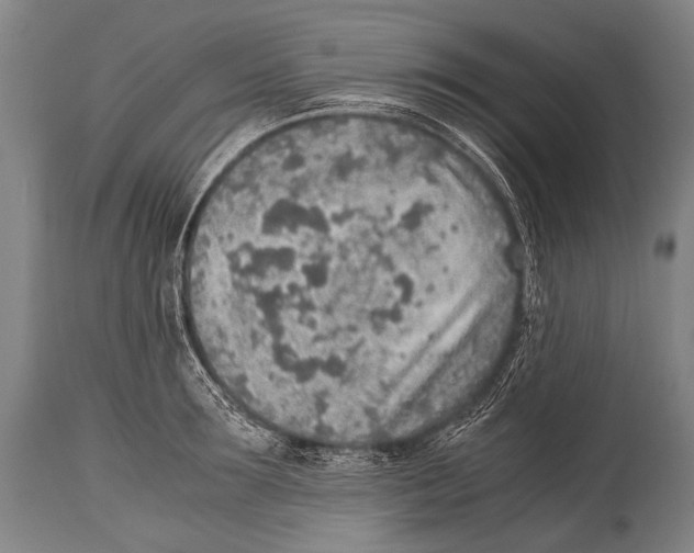 X0000114680899200911181228