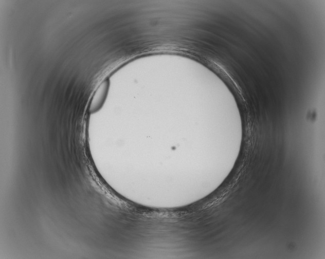 X0000114680900200911181228