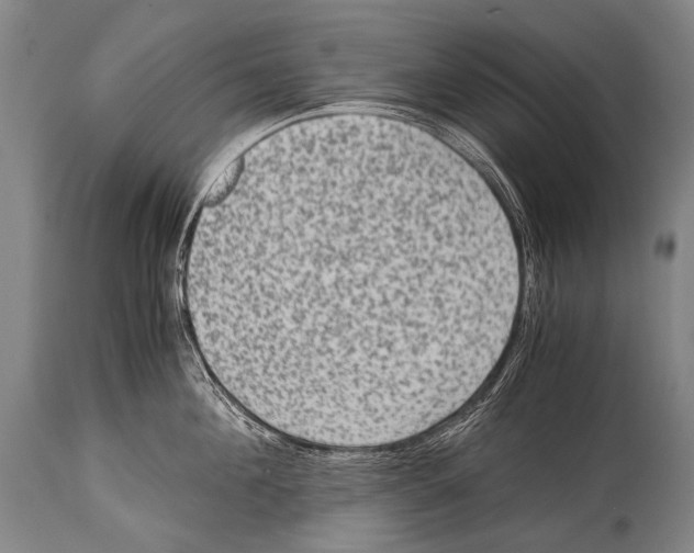X0000114680908200911181228