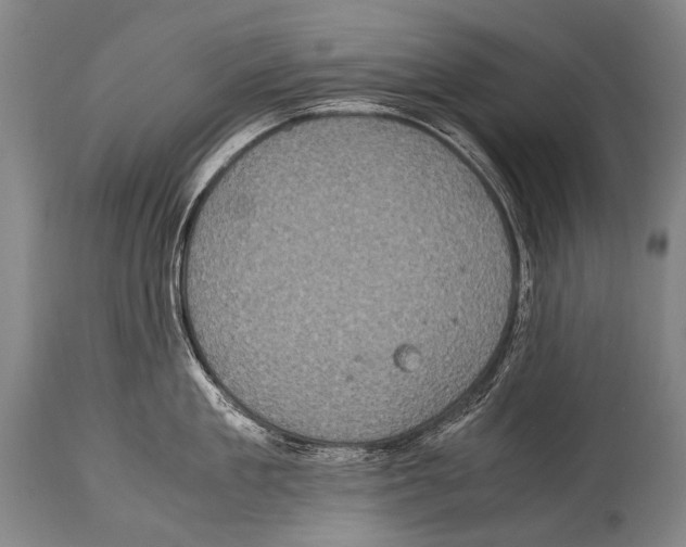X0000114680909200911181228
