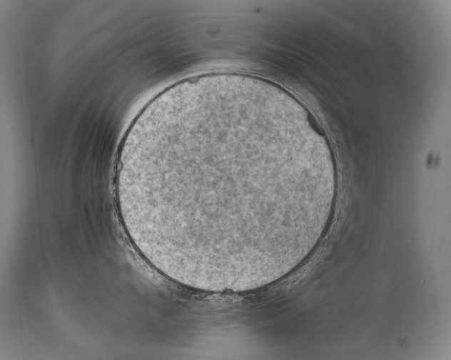 X0000114680912200911181227