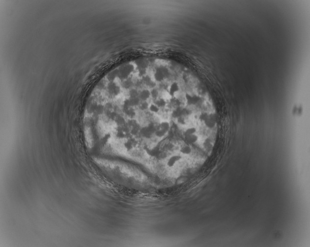 X0000114680913200911181227