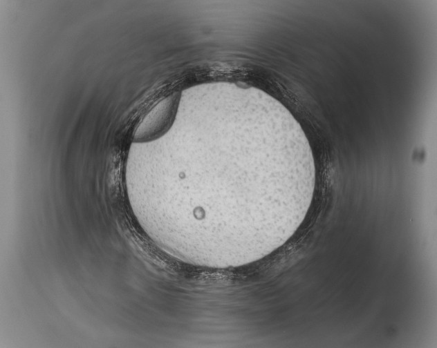 X0000114680914200911181227