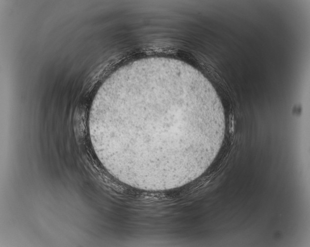 X0000114680915200911181227