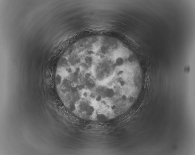 X0000114680917200911181227