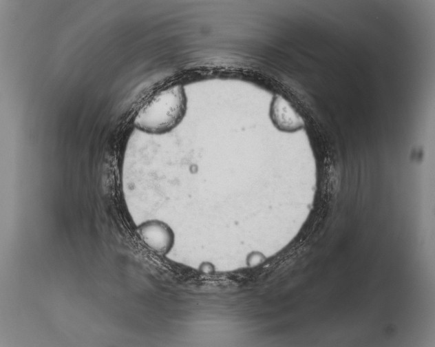 X0000114680918200911181227