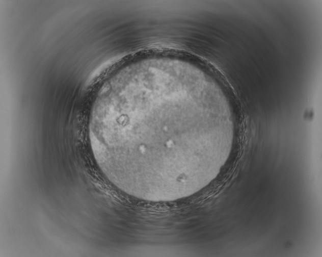 X0000114680919200911181227