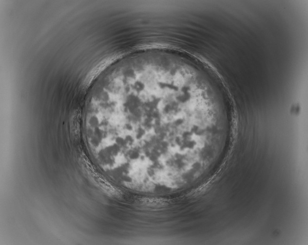 X0000114680921200911181227