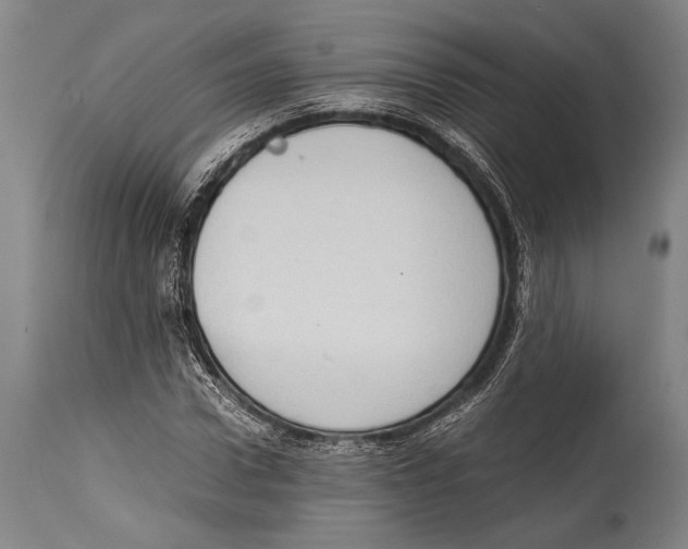 X0000114680922200911181227