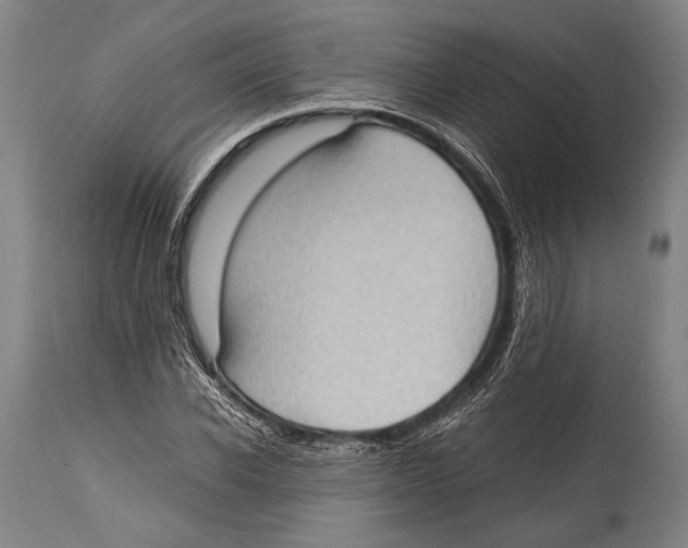X0000114680926200911181227