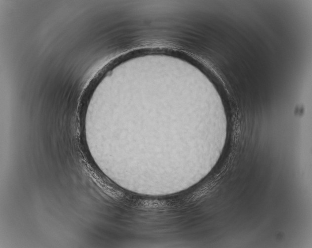 X0000114680927200911181227