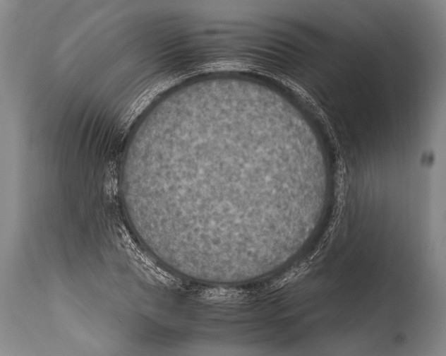 X0000114680929200911181227