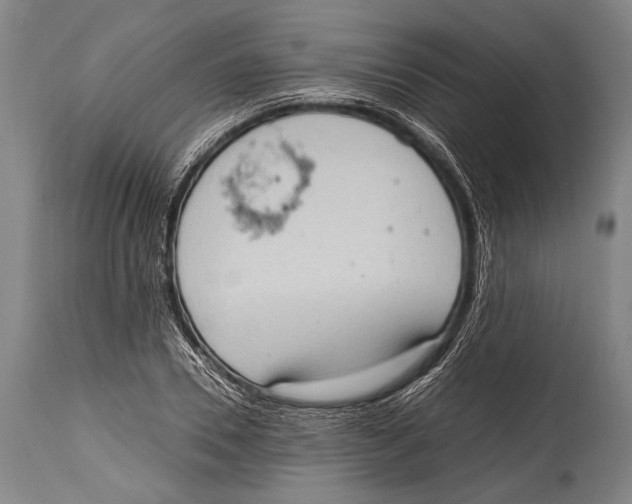 X0000114680930200911181227