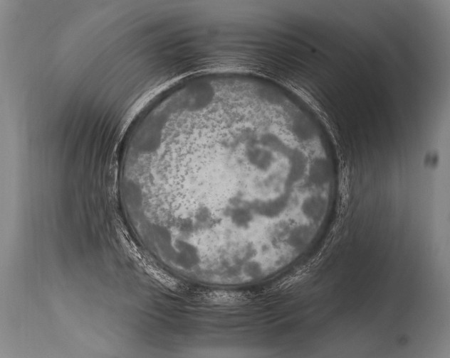 X0000114680933200911181227