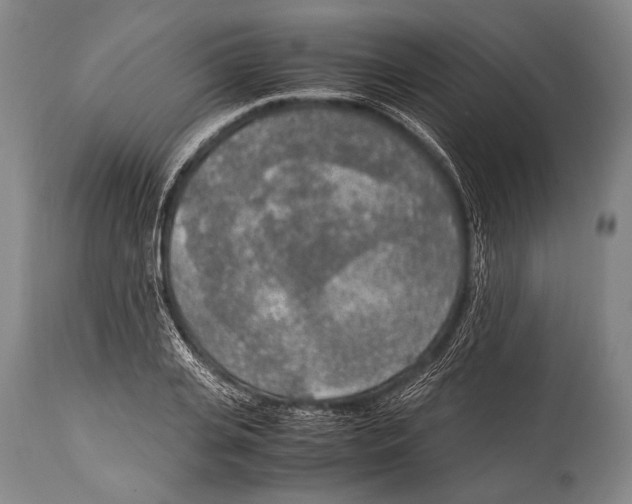X0000114680935200911181227