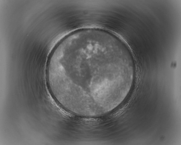 X0000114680943200911181227
