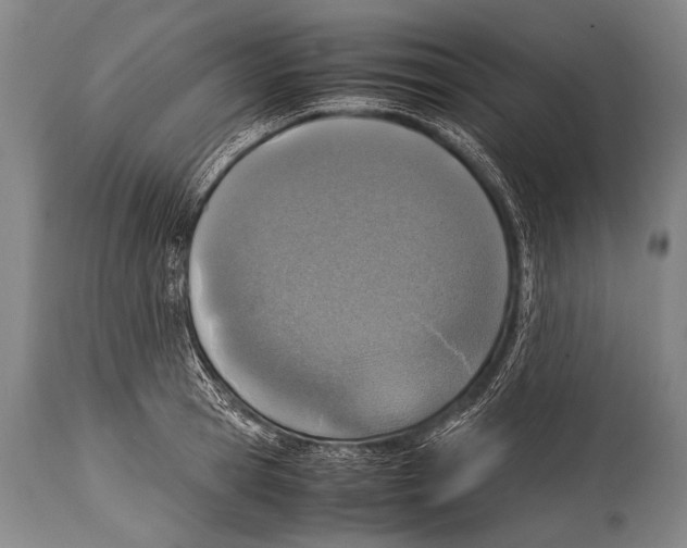 X0000114680945200911181227