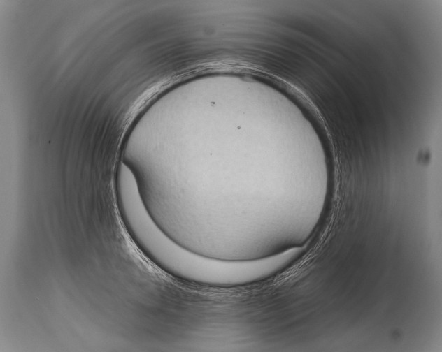 X0000114680946200911181227