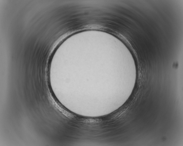 X0000114680947200911181227