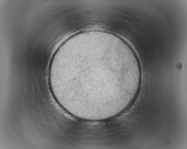 X0000114680949200911181227