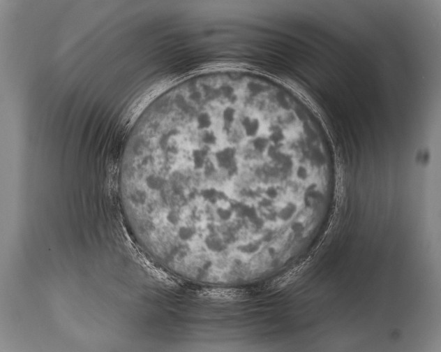 X0000114680953200911181227