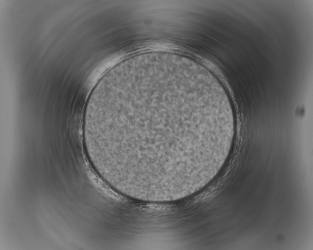 X0000114680954200911181227
