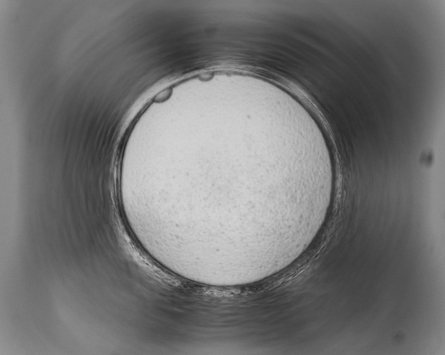 X0000114680955200911181227