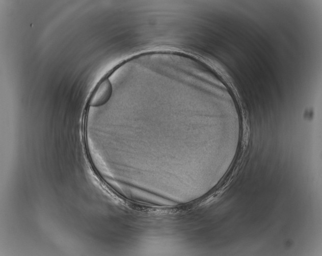 X0000114680958200911181227