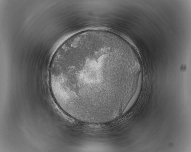 X0000114680959200911181227