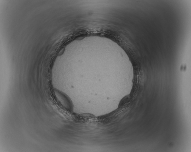 X0000114680961200911181227