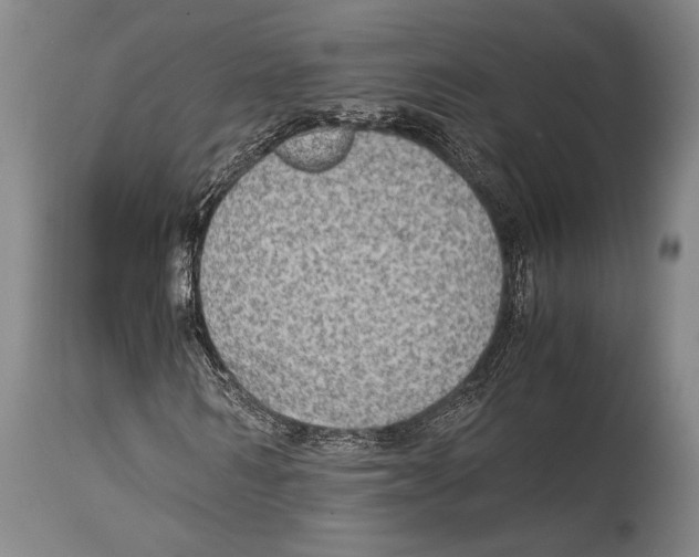 X0000114680962200911181227